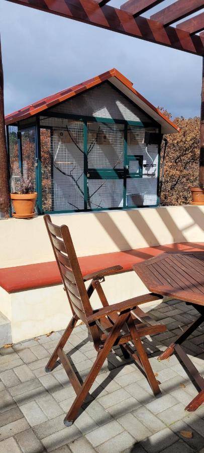 Sunset Refuge Apartment Faja da Ovelha Exterior photo